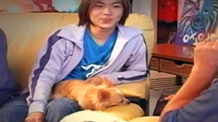 The Dog Whisperer Season 1 Episode 12 Hank And Paris