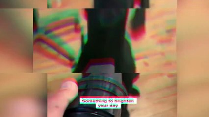 the-best-cute-and-funny-animal-videos-of-2022-funny-pets-ssyoutube.online