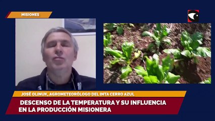 Descenso de la temperatura y su influencia en la producción misionera