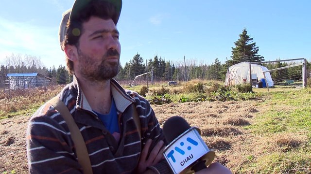 01 nov TOPO PG mois economie sociale archives