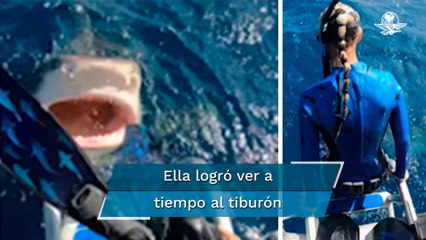¡A punto de ser devorada! Científica casi se arroja a la boca de un tiburón