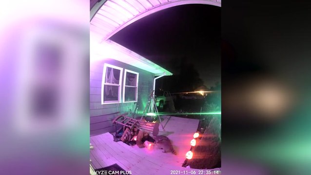 Raccoons end Halloween by attacking robotic witch on couple's porch