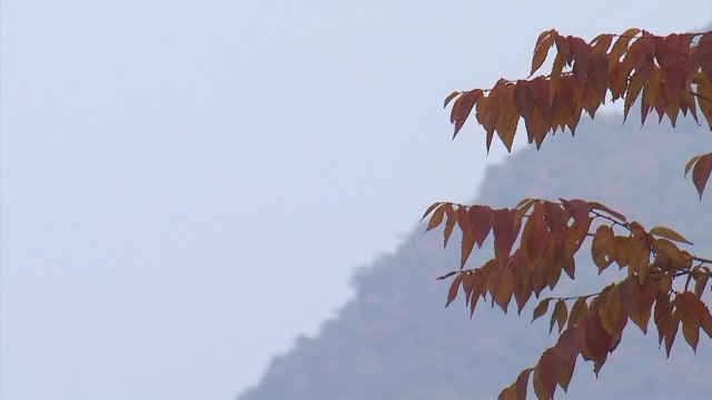 [날씨] 출근길 어제보다 쌀쌀, 짙은 안개...내일 낮부터 찬바람 / YTN