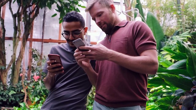 Lei europeia deve mudar os rumos da internet; entenda