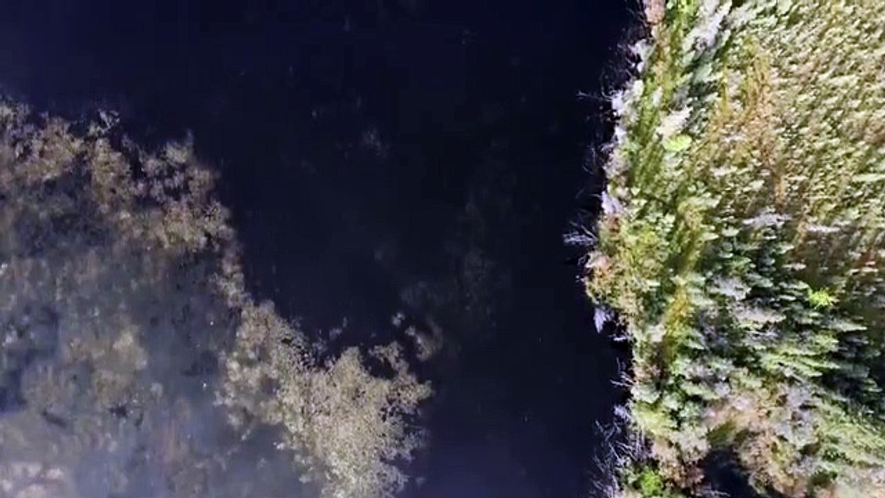 Aliens in Alaska - Se1 - Ep04 HD Watch HD Deutsch