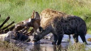 Africa's Hunters - Se2 - Ep04 - The Lost Prince HD Watch HD Deutsch