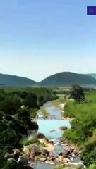 Habibi Come To Tangi Status