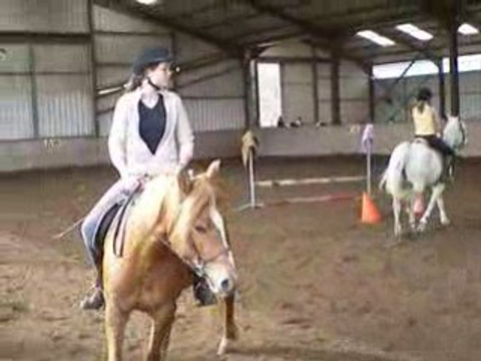 Vidéo galop 6