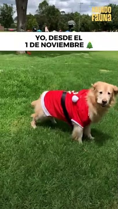 ¡Ya estoy listo para la Navidad!