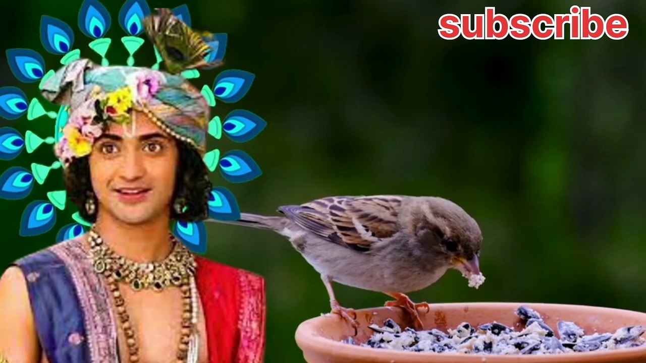 Sree krishna motivation speech video !! Sree mad bhagwat Geeta motivation video!! Life questions & motivation