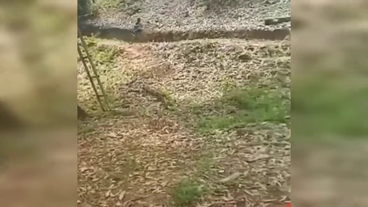 VIDEO LUCU BIKIN NGAKAK SAKIT PERUT _laughing_ KUMPULAN VIDEO BIKIN NGAKAK _laughing_ MAU KETAWA TAKUT DOSA
