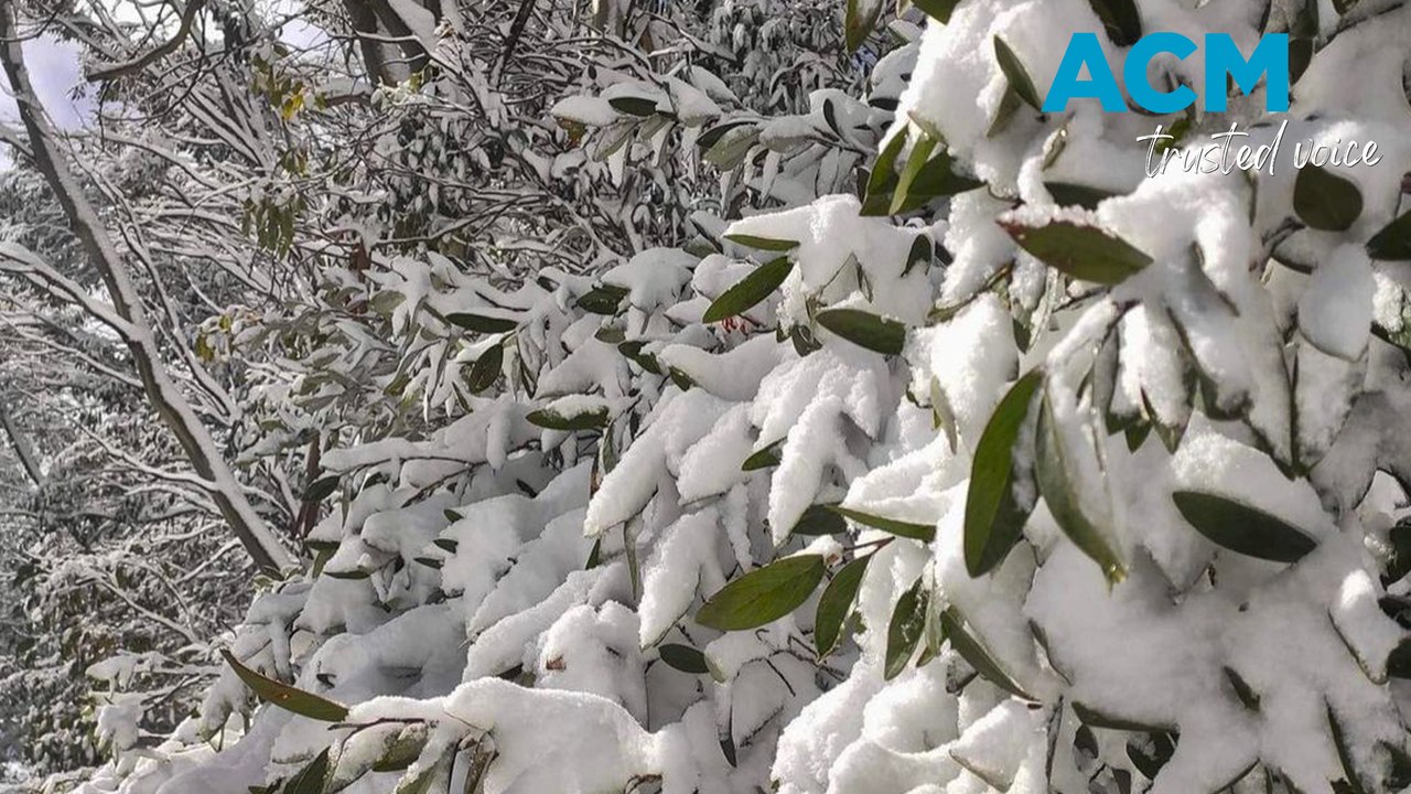 Snowvember in Australia?
