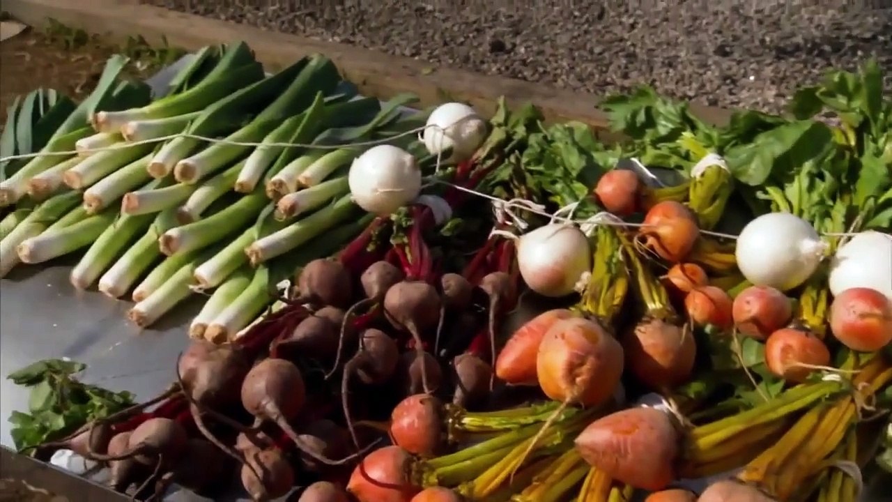 Man Fire Food - Se10 - Ep01 - Southern Sizzle and Smoke HD Watch HD Deutsch