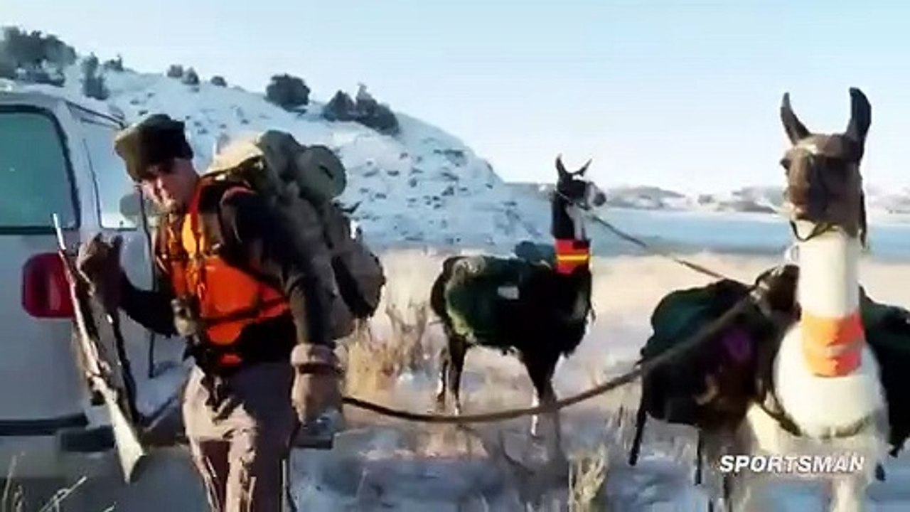 MeatEater Se1 Ep06 HD Watch HD Deutsch video Dailymotion