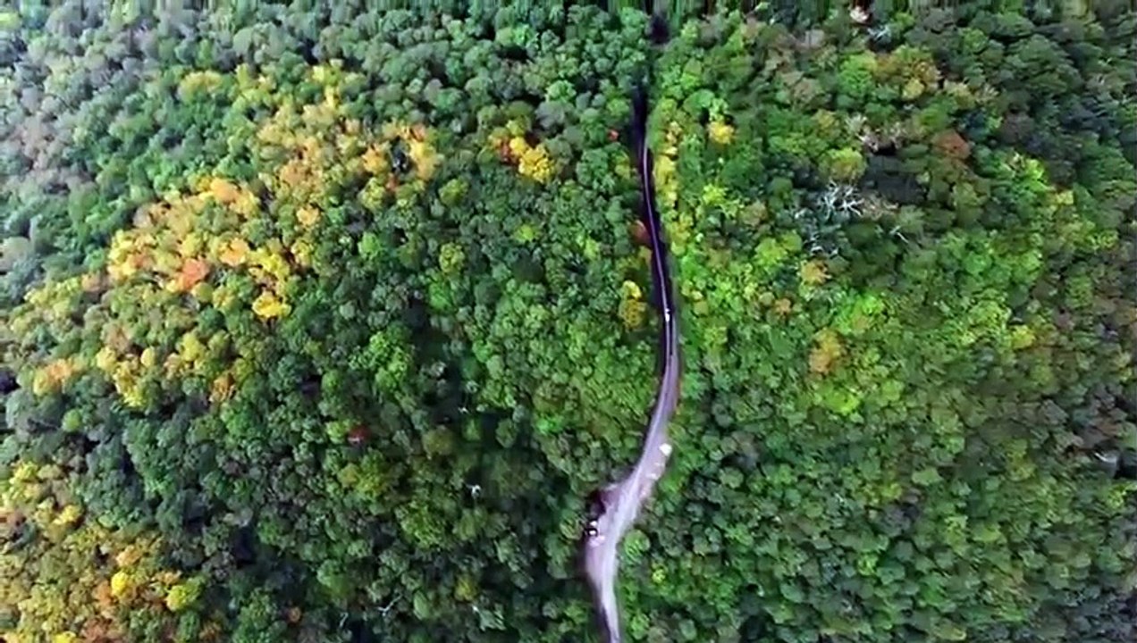 Dead Silent - Se2 - Ep02 - Run for Your Life HD Watch HD Deutsch