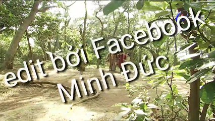 Thần Cơ Diệu Toán Lưu Bá Ôn Phần 9 Tập 73 Bí Mật Rồng Nam Vu Lý THVL1 LT Bản Đẹp