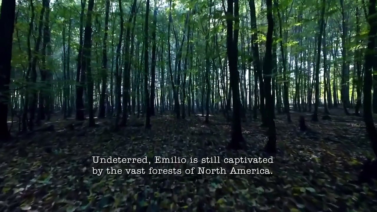 Trr in the Woods - Se2 - Ep02 HD Watch HD Deutsch