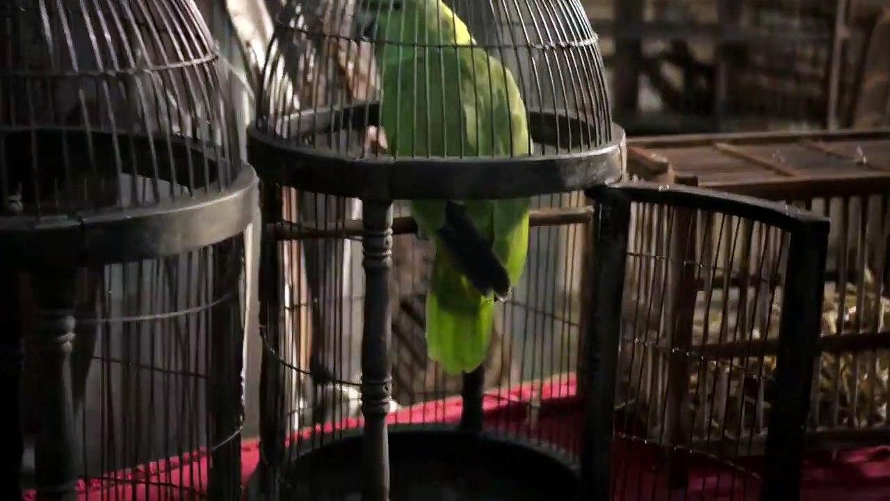 Da Vincis Demons - Se1 - Ep03 - The Prisoner HD Watch HD Deutsch