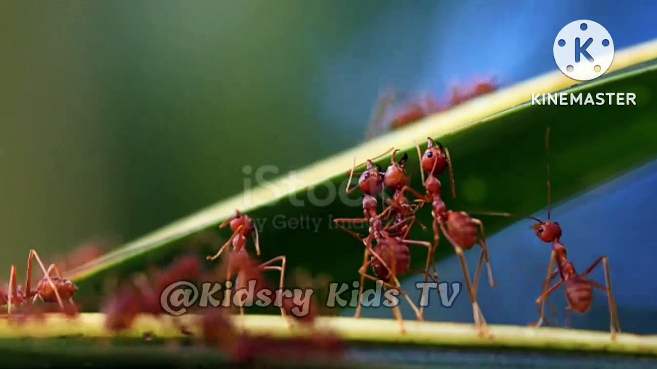 km_20221031_720p(1)