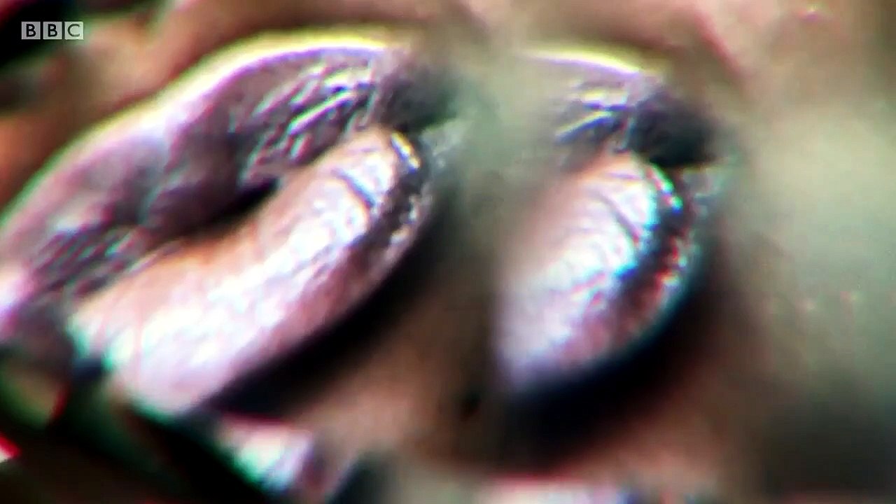 Nudes - Se1 - Ep02 HD Watch HD Deutsch