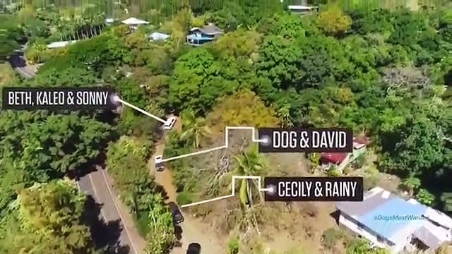 Dog's Most Wanted - Se1 - Ep01 - Like Father, Like Son HD Watch HD Deutsch