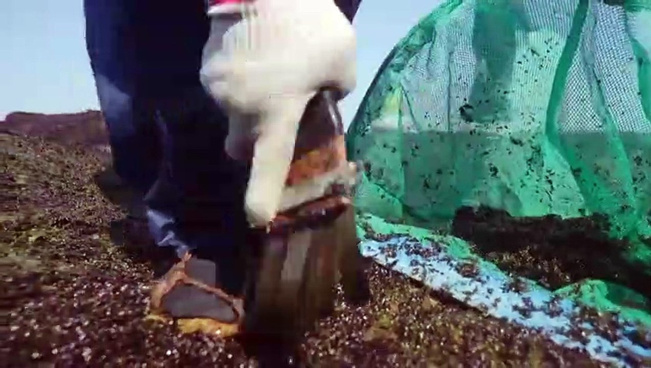 Flavorful Origins - Se1 - Ep07 HD Watch HD Deutsch