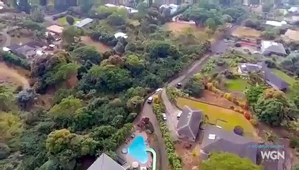 Dog's Most Wanted - Se1 - Ep05 - Parent 'hood' HD Watch HD Deutsch