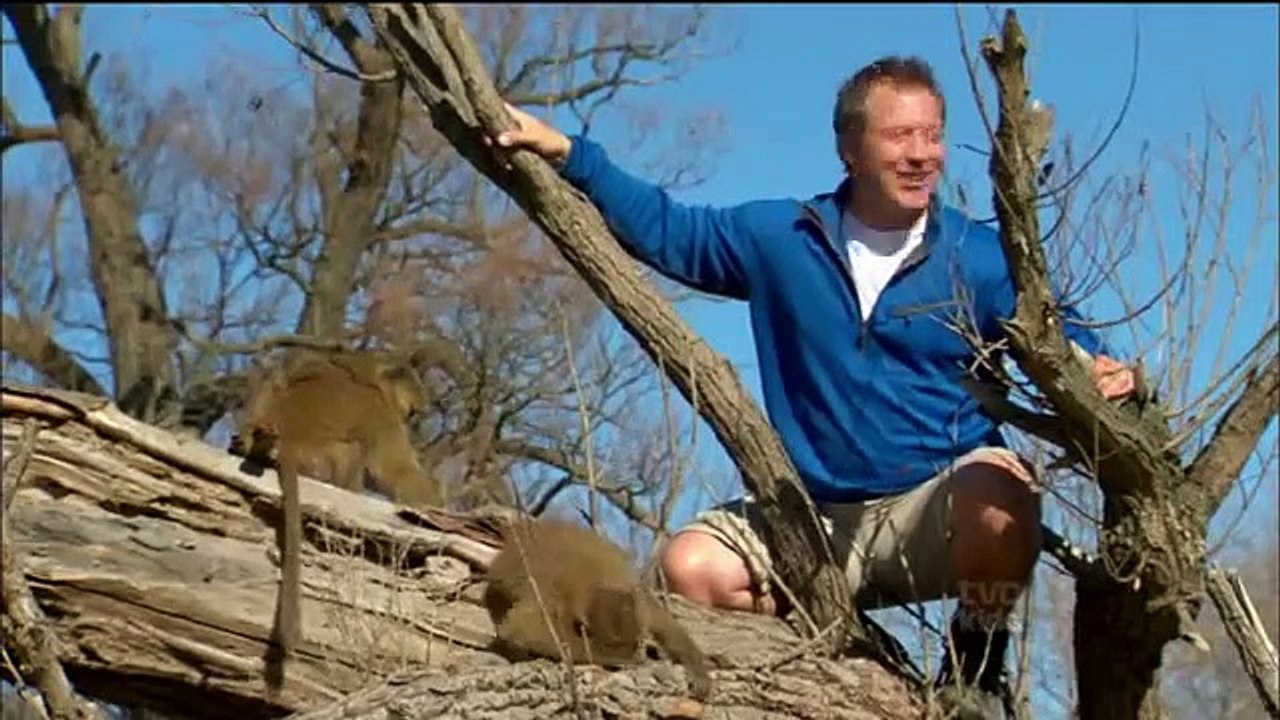 Wild Kratts - Se1 - Ep02 HD Watch HD Deutsch