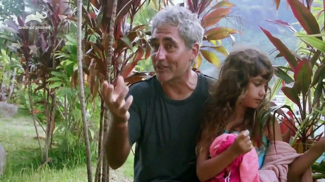 Evan Goes Wild - Se1 - Ep01 - Sharks and Recreation HD Watch HD Deutsch