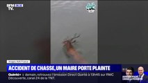 Un maire porte plainte contre un équipage de chasse à courre qui a poursuivi un cerf jusque dans sa commune