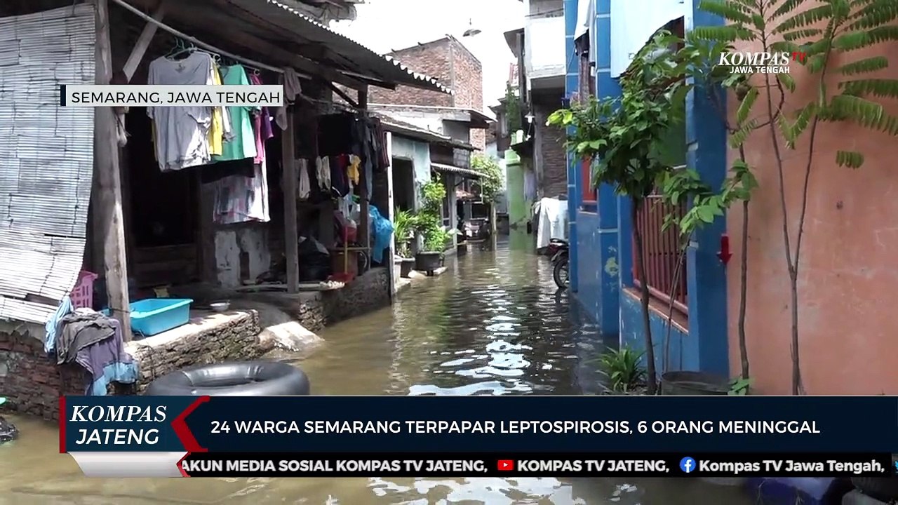24 Warga Semarang Terpapar Leptospirosis, 6 Orang Meninggal