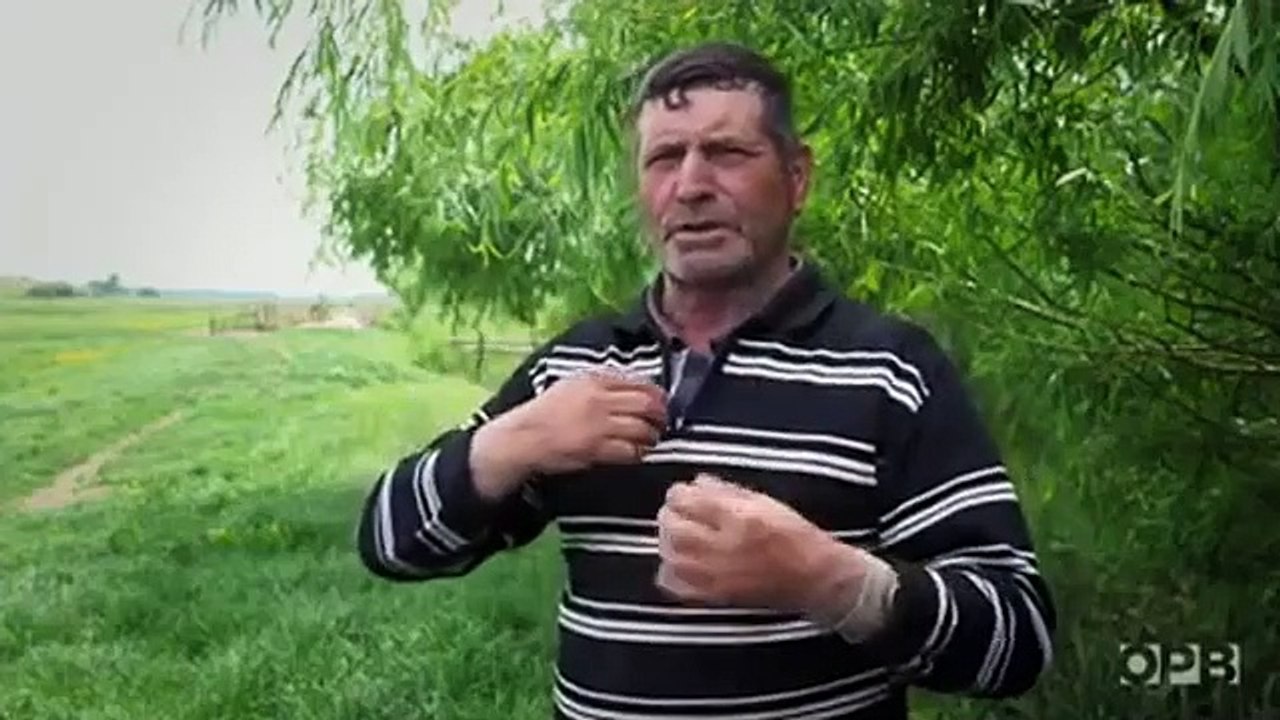 Secrets of the Dead - Se15 - Ep01 HD Watch HD Deutsch