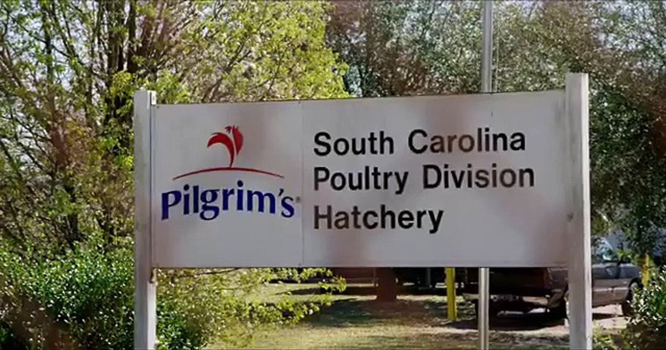 Rotten - Se1 - Ep04 - Big Bird HD Watch HD Deutsch