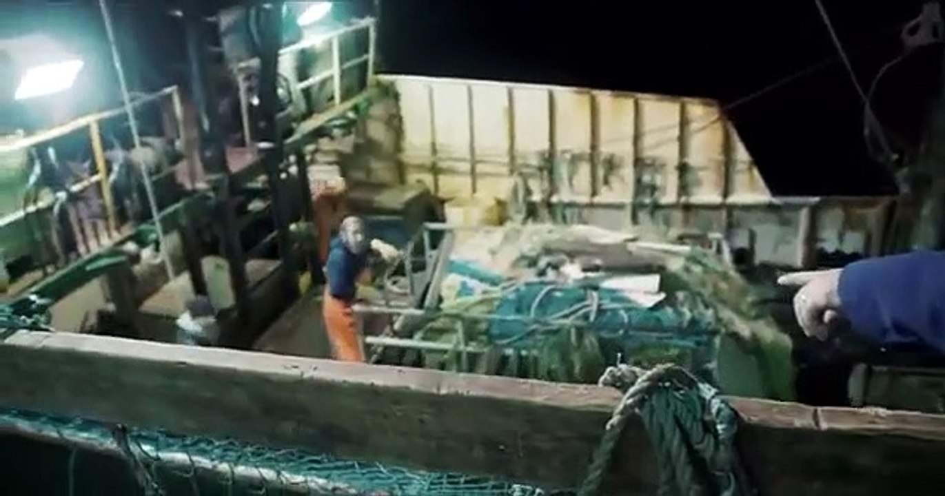 Rotten - Se1 - Ep06 - Cod is Dead HD Watch HD Deutsch