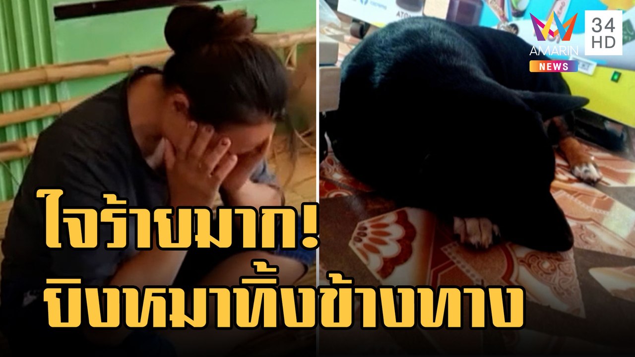 ข่าวเที่ยงอมรินทร์ | เจ้าของเศร้า! หมาแสนรู้ดาวหมู่บ้านถูกยิงตาย หอบศพทิ้งข้าง รร. | 2 พ.ย.65