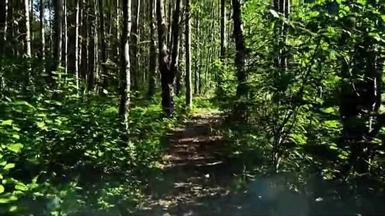 Strangest Things (2021) - Se1 - Ep03 HD Watch HD Deutsch