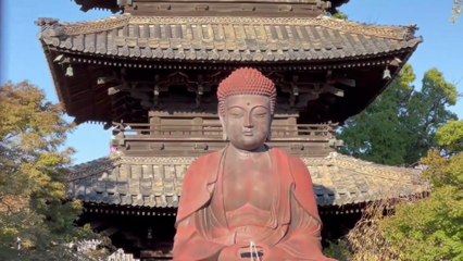 Rumah Cina Benteng: Kuno, Modern, dan Terbengkalai 🏠