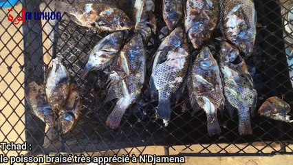 Tchad: les poissons braisé très apprécié à N'Djamena