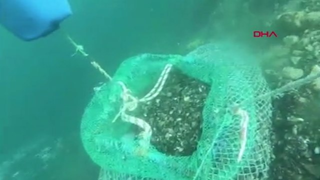 Marmara Denizi'nde kaçak avlanan 1 ton midye ele geçirildi