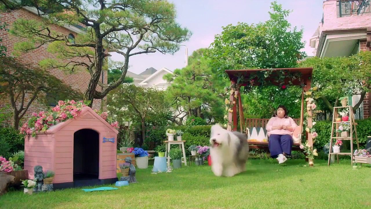 The Miracle - Ep02 HD Watch HD Deutsch