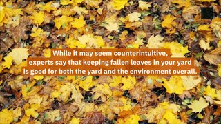 Reasons You Don't Have to Rake Your Leaves This Autumn