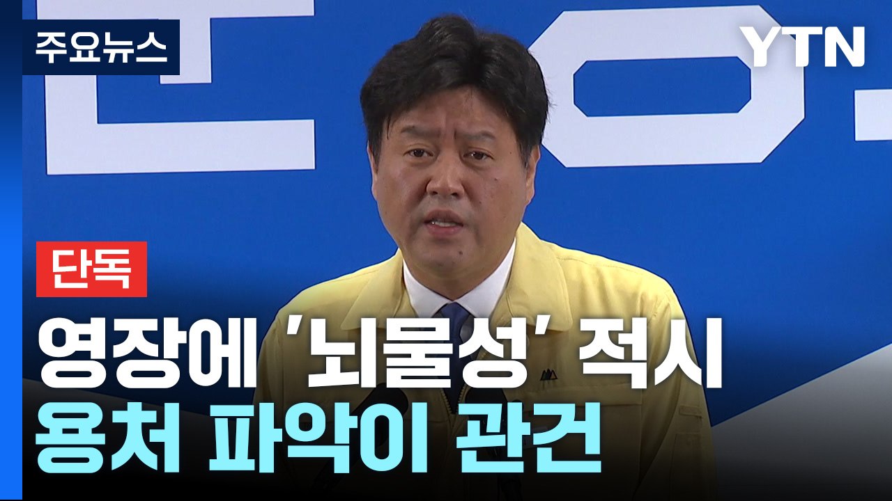 [단독] 김용 영장에 '뇌물성' 정치자금 적시...용처 파악은 여전히 난항 / YTN