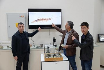 Diyarbakır'da yol çalışmasında bulunan mağarada yeni bir böcek cinsi ortaya çıktı (2)- Yeniden