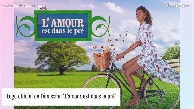 Il s'est barré ! : Un agriculteur interrompt soudainement son bilan avec Karine Le Marchand (SPOILER)