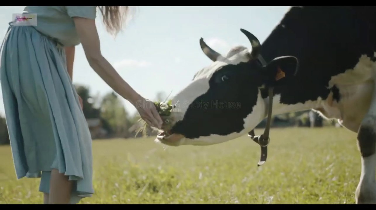 Funny Animals - Animal Sounds and Pictures Cow, Horse, Chicken, Duck, Buffalo, Goat,