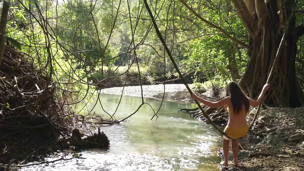 The Hardest and Most Beautiful Days in our Rainforest Cottage