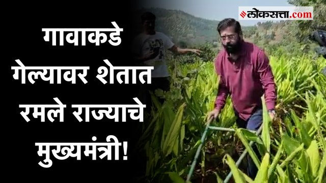 CM Eknath Shinde: मुळ गावी गेलेले मुख्यमंत्री एकनाथ शिंदे थेट शेतात पोहोचले