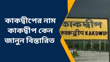 দঃ ২৪ পরগনা: কোথা থেকে কাকদ্বীপের নামকরণ? এর পিছনে রয়েছে এক পৌরাণিক কাহিনী