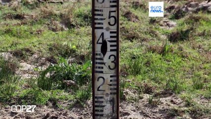 Spagna, le zone umide di Doñana rischiano di prosciugarsi definitivamente