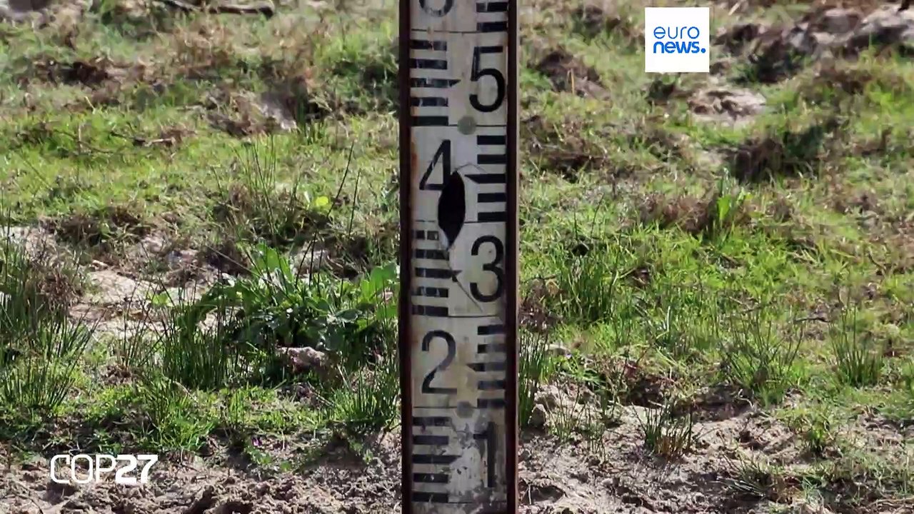 Feuchtgebiet doñana: ein naturschatz trocknet aus